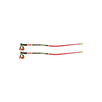 Leki World Cup GS 3D Ski Poles