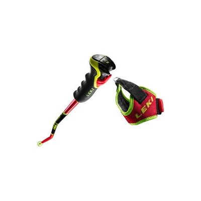 Leki World Cup GS 3D Ski Poles