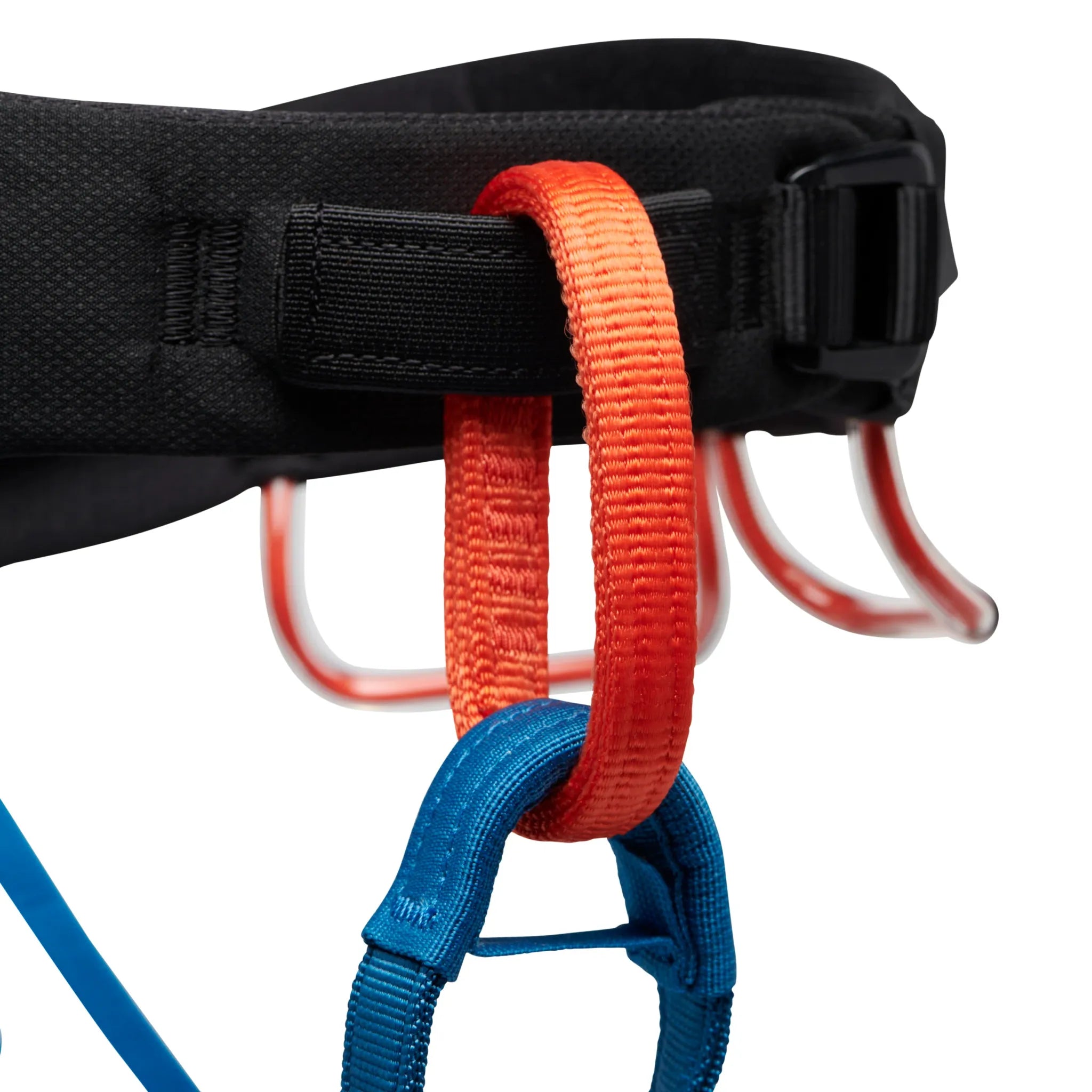 Black Diamond Men's Momentum Climbing Harness