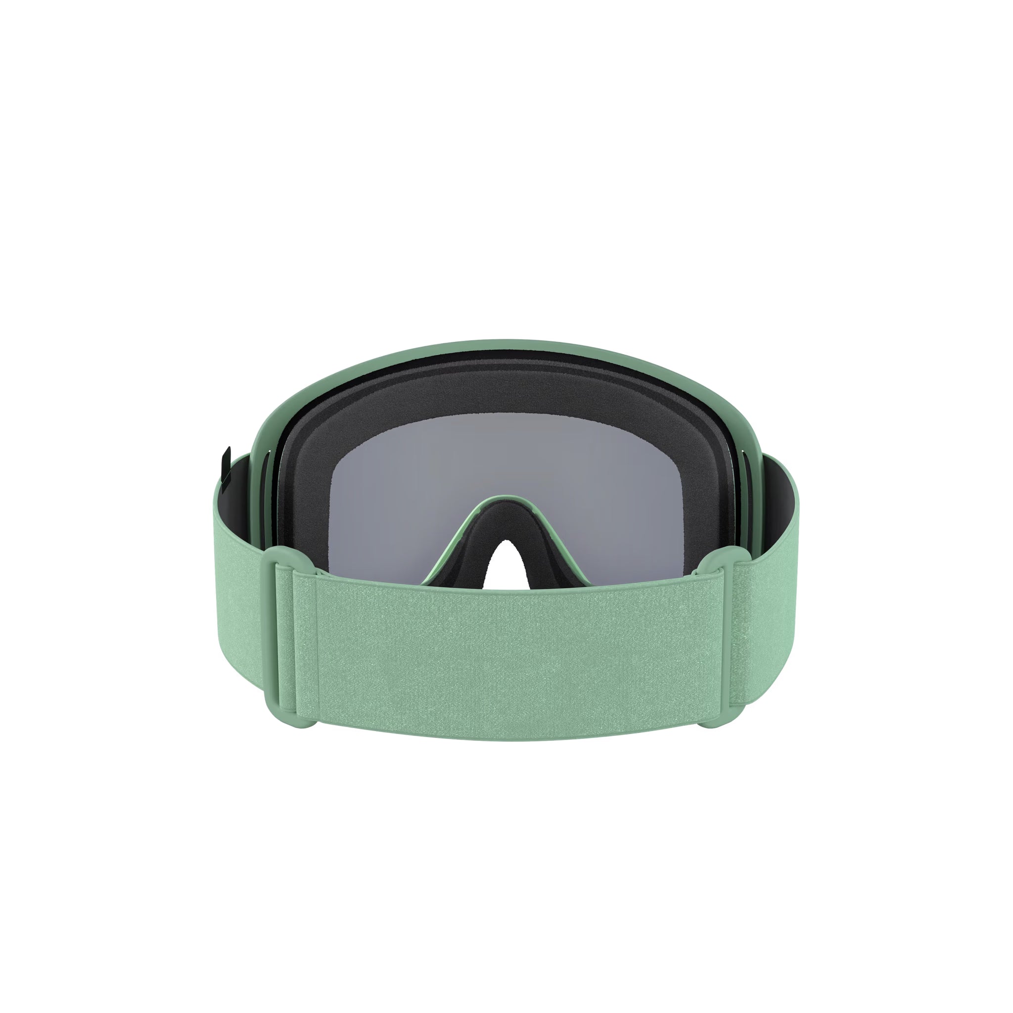 POC Opsin Snow Goggles