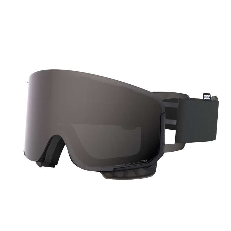 POC Nexal Ski Goggle