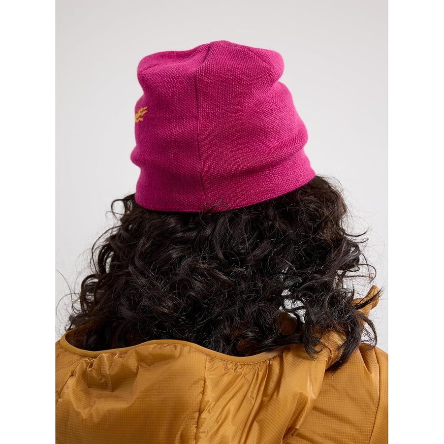 Arc'teryx Bird Head Toque Beanie