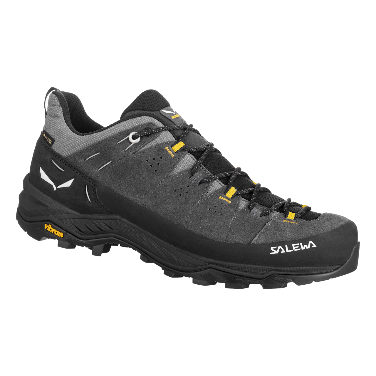 Salewa Men's Alp Trainer 2 Gore-Tex Hiking Shoes