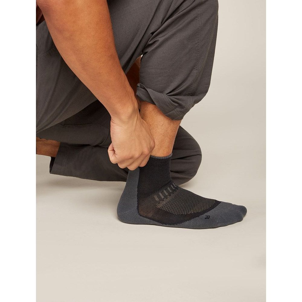 Icebreaker Men's Merino Hike+ Light Mini Sock