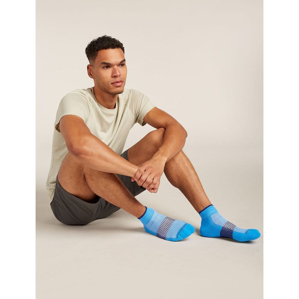 Icebreaker Men's Merino Multisport Light Mini Socks