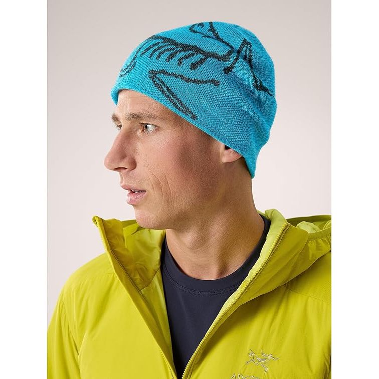 Arc'teryx Bird Head Toque Beanie