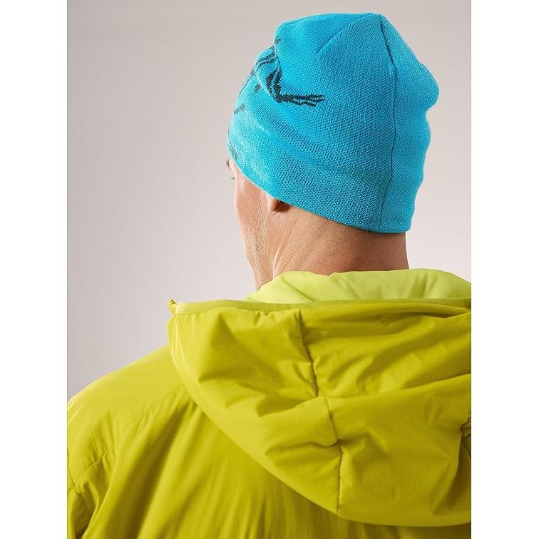 Arc'teryx Bird Head Toque Beanie