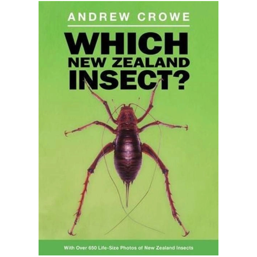 Which New Zealand Insect