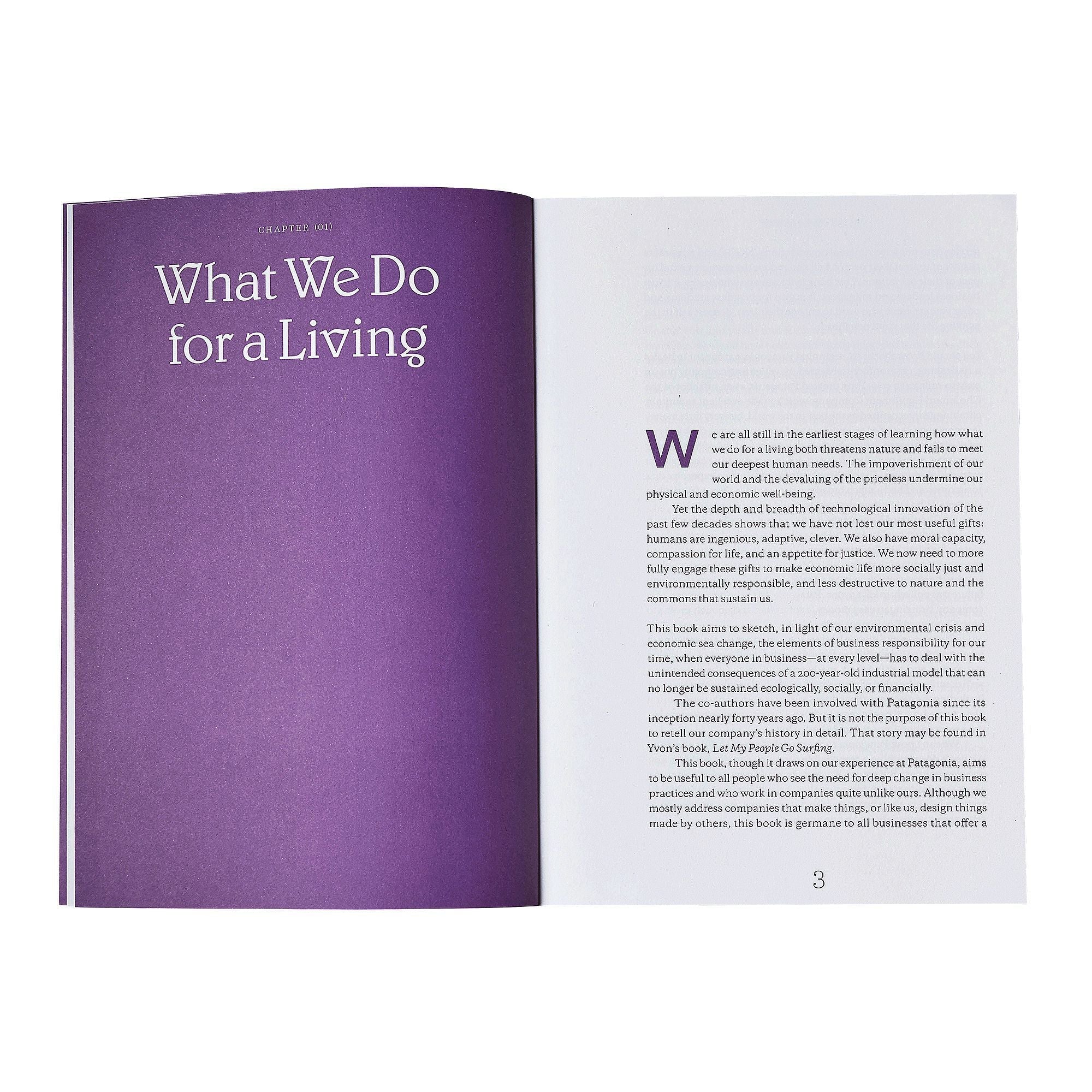 Patagonia The Responsible Company Book (Revised and Updated - Paperback)