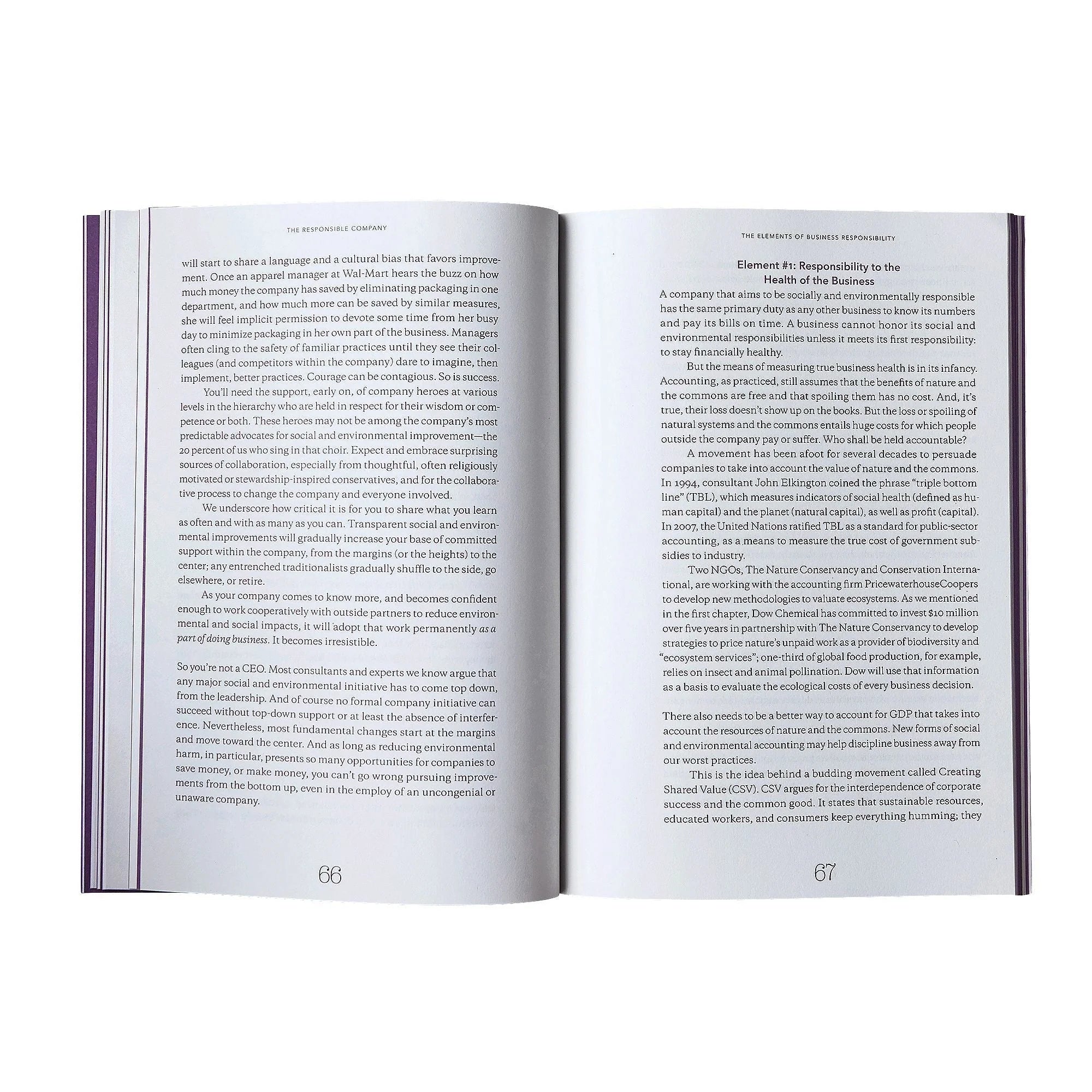 Patagonia The Responsible Company Book (Revised and Updated - Paperback)