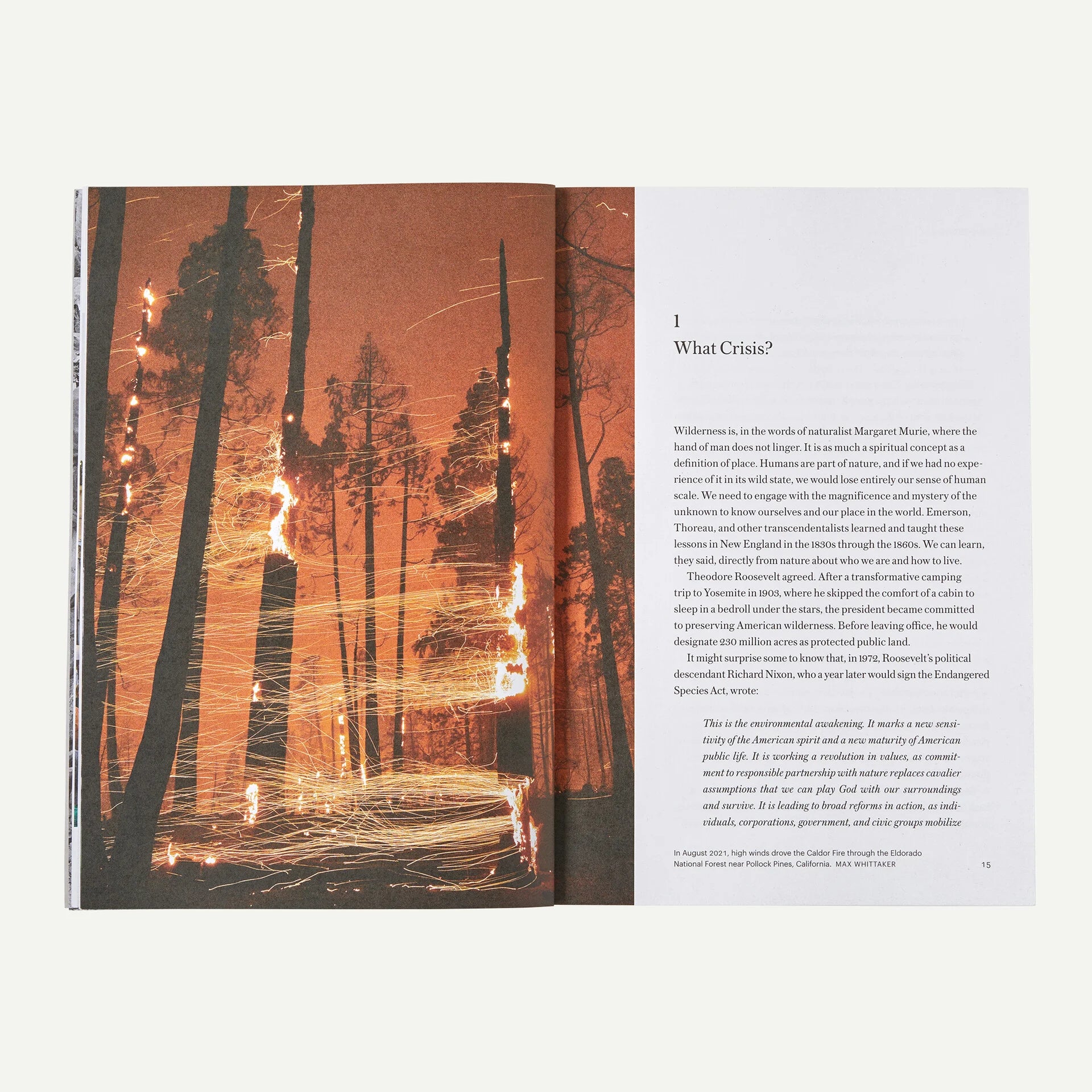 Patagonia The Future of the Responsible Company Book (paperback)