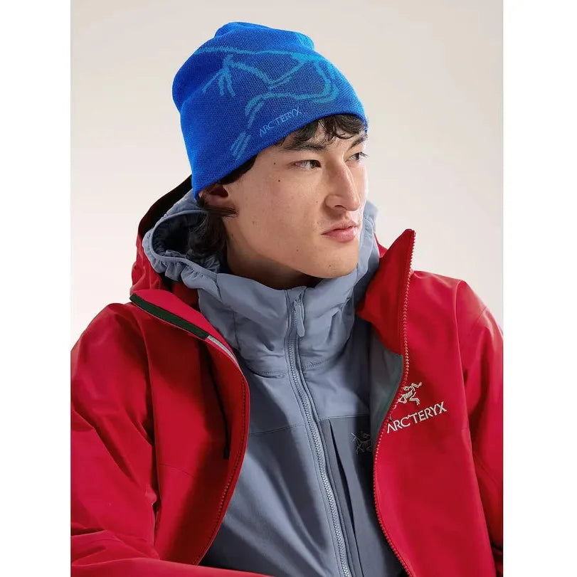 Arc'teryx Bird Head Toque Beanie