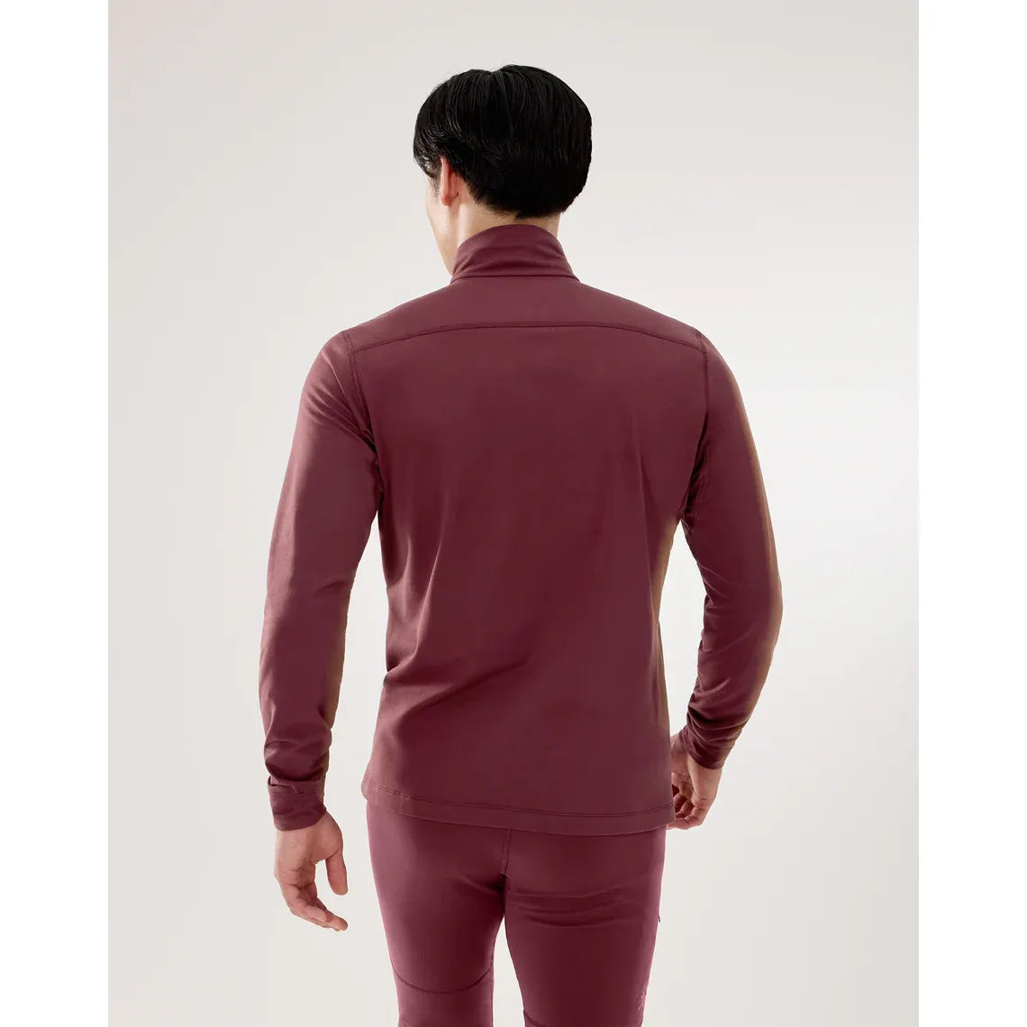 Arc'teryx Men's Rho LT Zip Neck