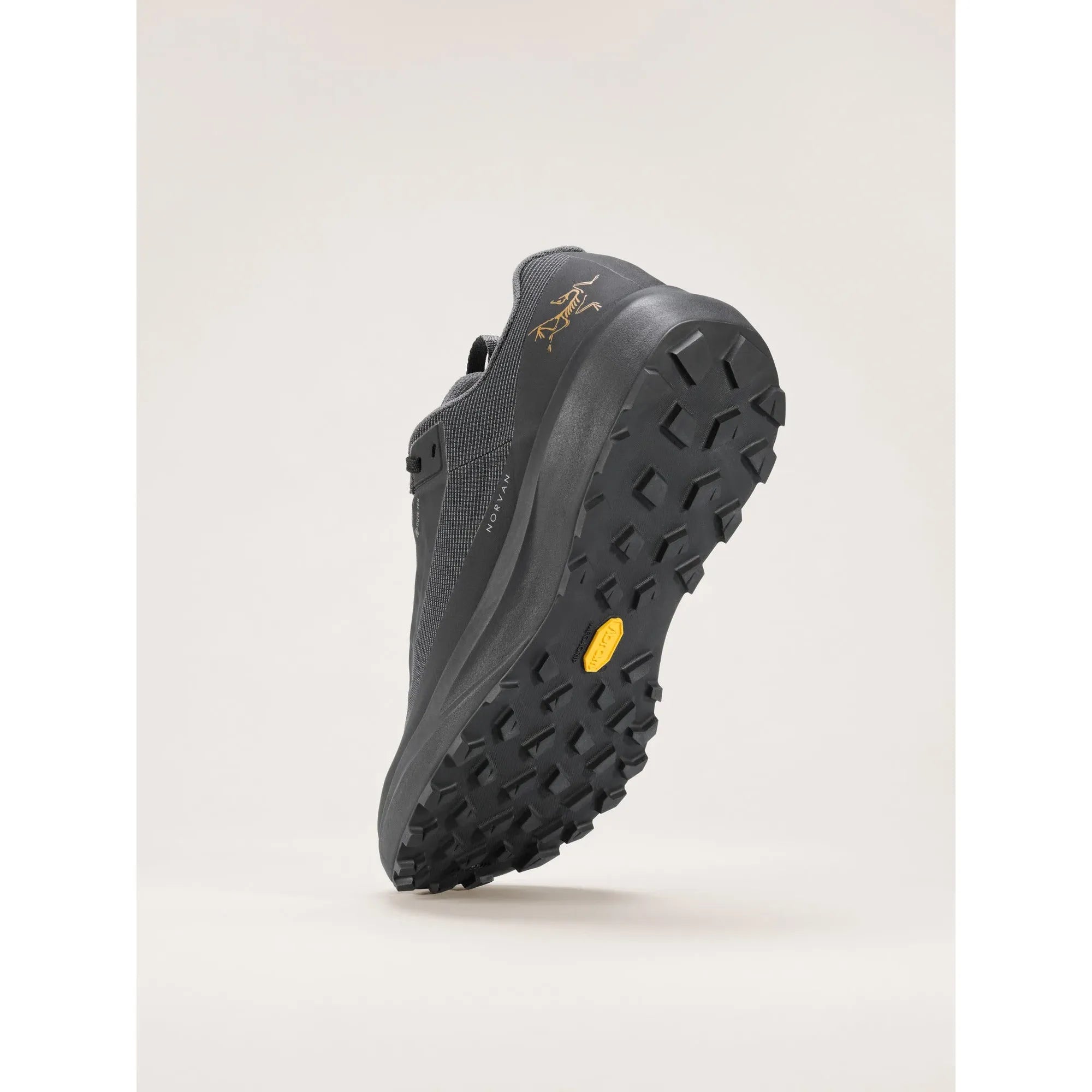 Arc'teryx Men's Norvan LD 4 Gore-Tex Trail Running Shoes
