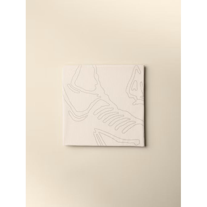 Arc'teryx Sinsolo Bandana