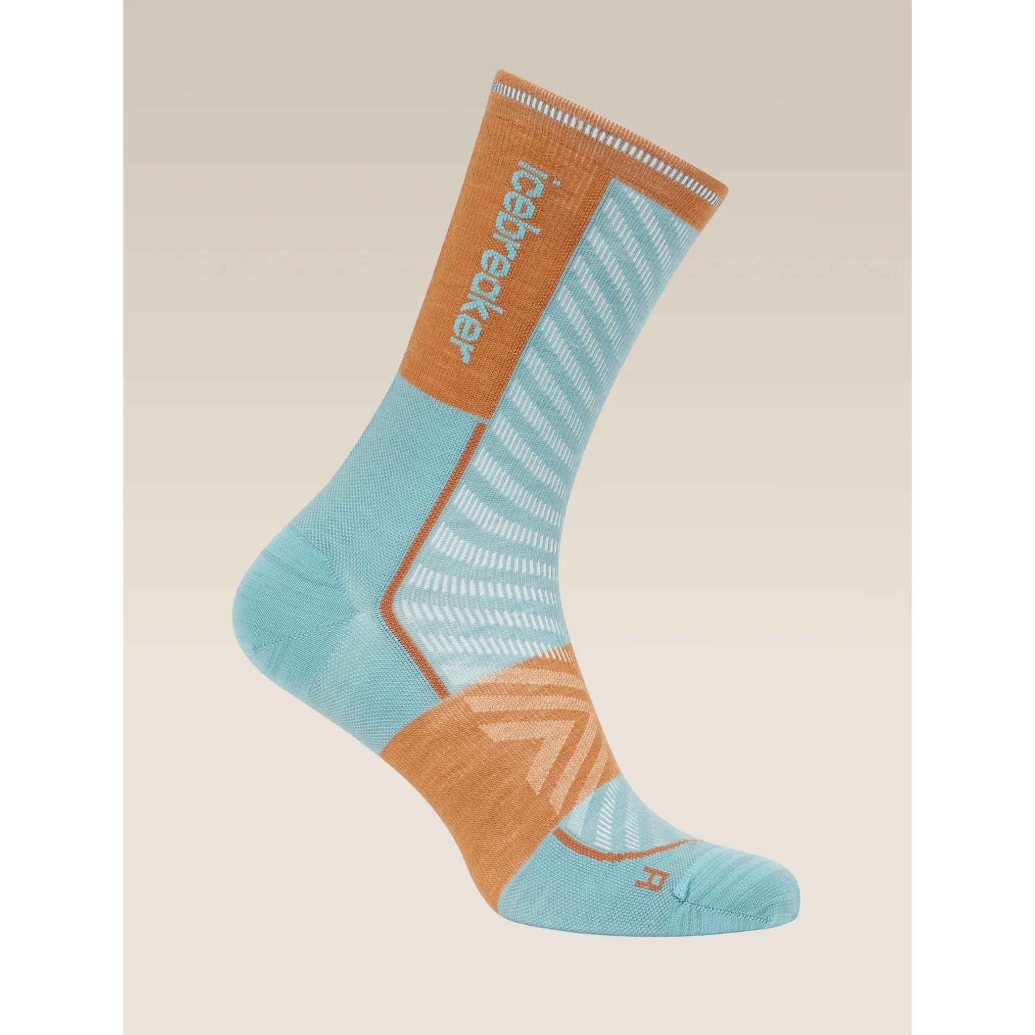 Icebreaker Men's Merino Blend Run+ Ultralight Crew Sock