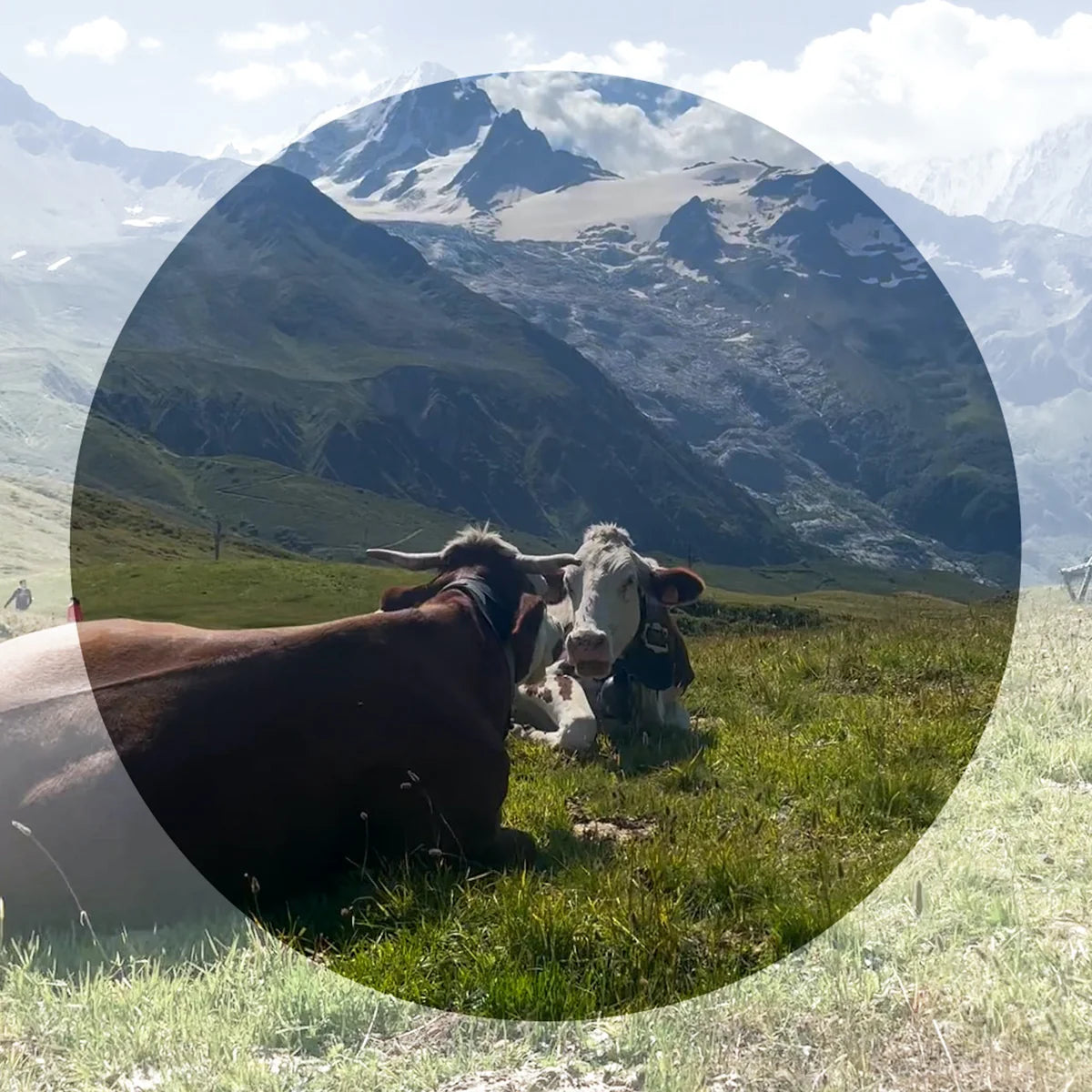 Vuarnet Cap 1814 Round Sunglasses