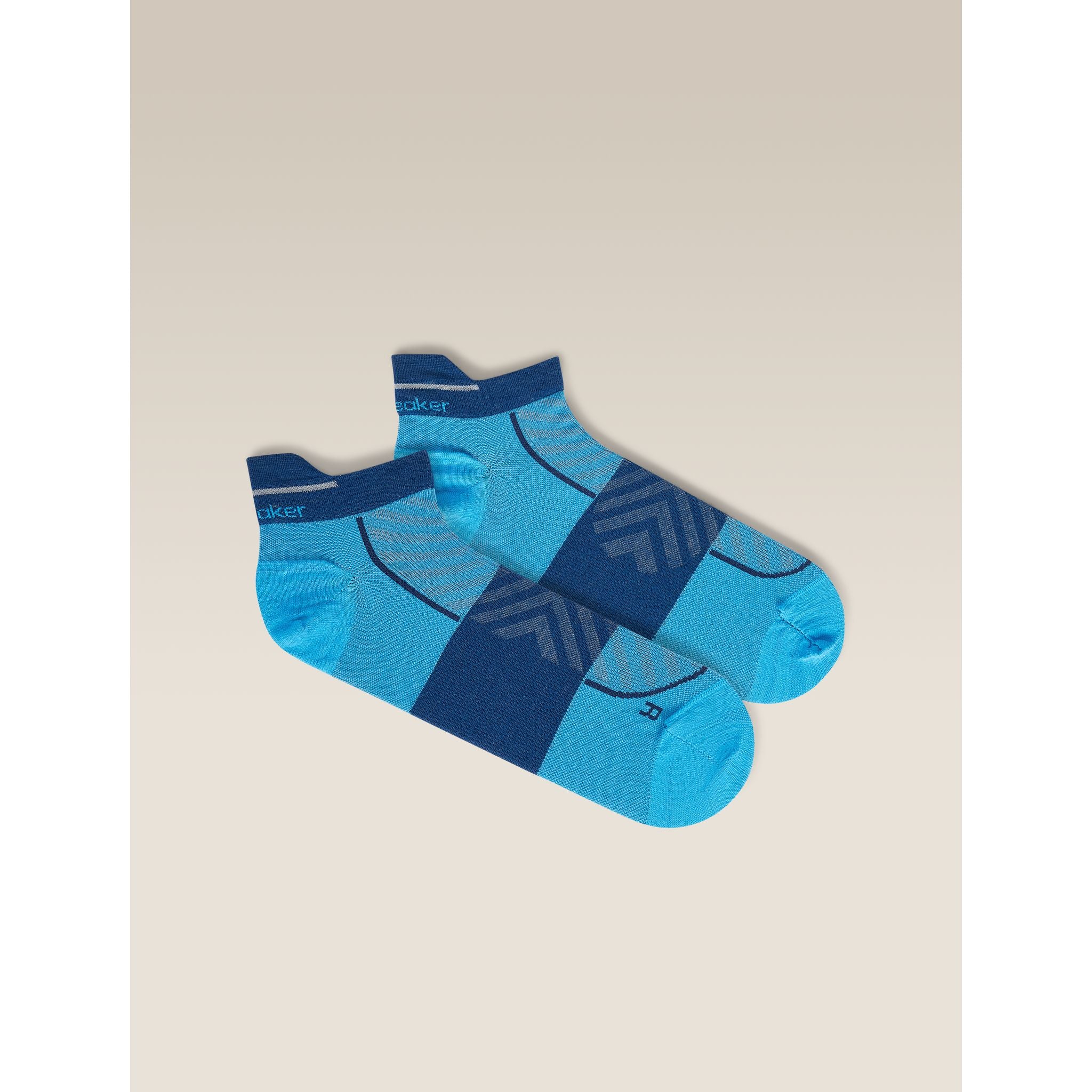 Icebreaker Men's Merino Blend Run+ Ultralight Micro Socks