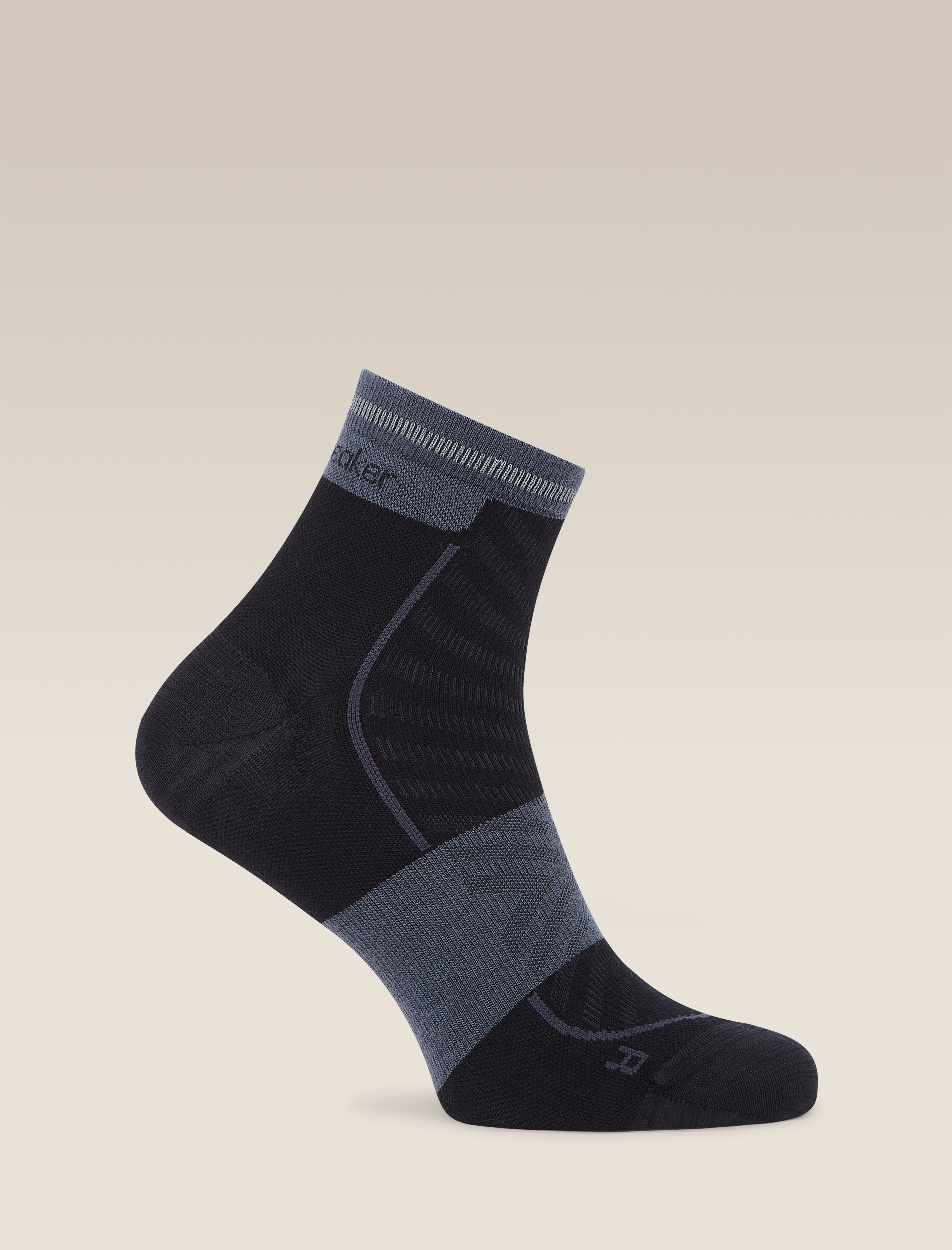 Icebreaker Men's Run+ Ultralight Mini Socks