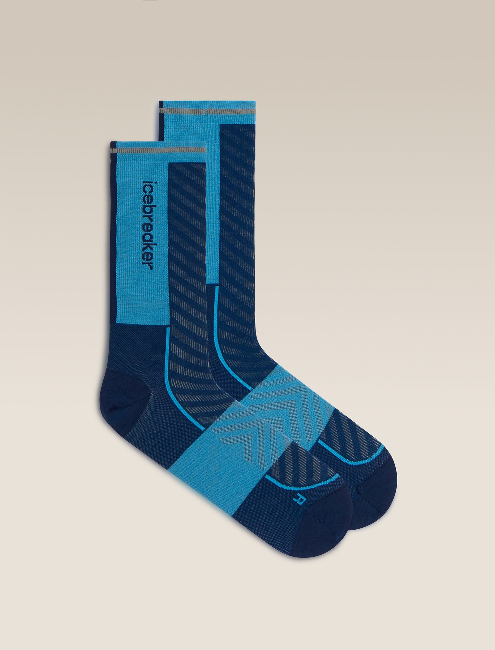 Icebreaker Men's Merino Blend Run+ Ultralight Crew Sock
