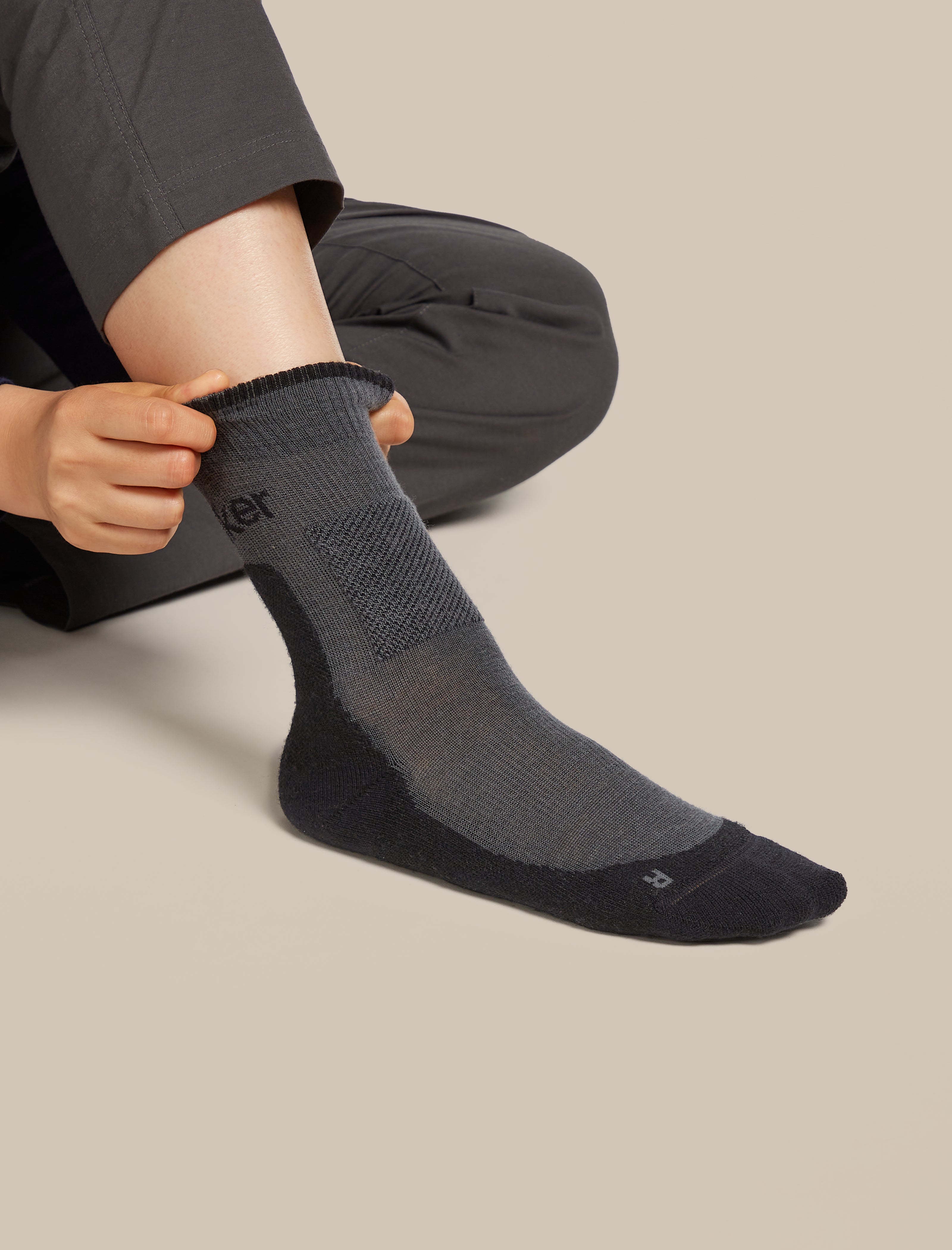 Icebreaker Women's Merino Hike+ Medium Crew Socks