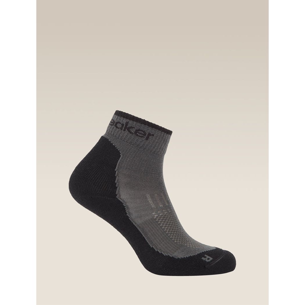Icebreaker Women's Merino Hike+ Light Mini Socks