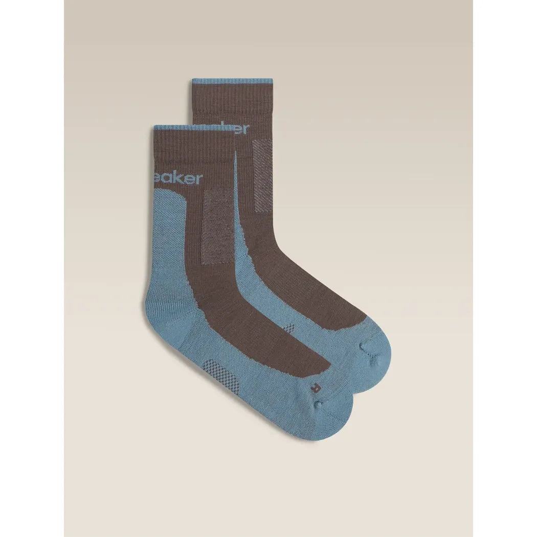 Icebreaker Men's Merino Hike+ Medium Crew Socks