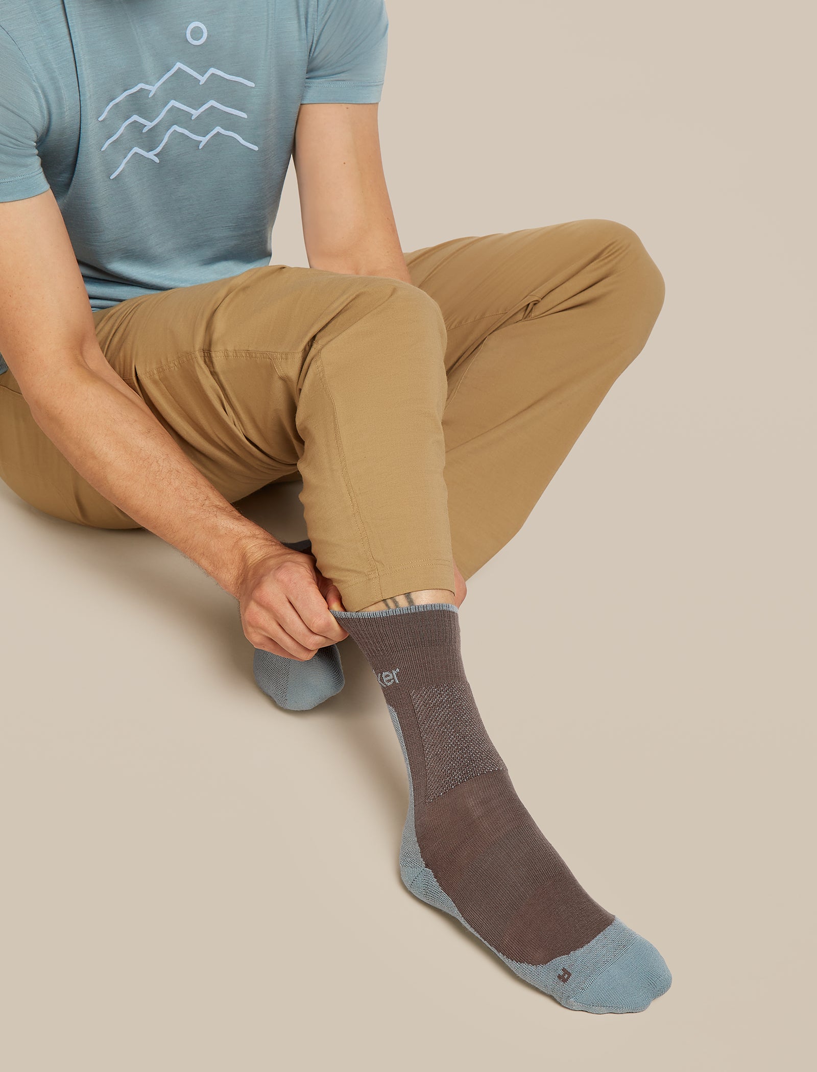 Icebreaker Men's Merino Hike+ Medium Crew Socks