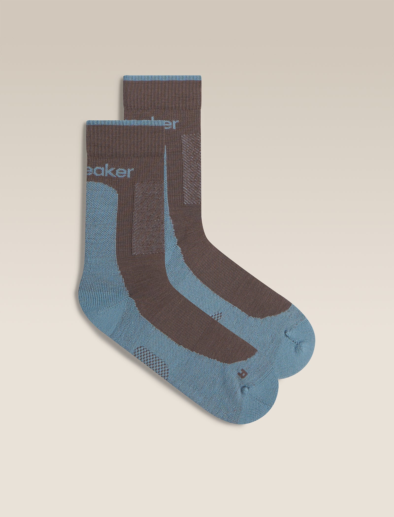 Icebreaker Men's Merino Hike+ Medium Crew Socks