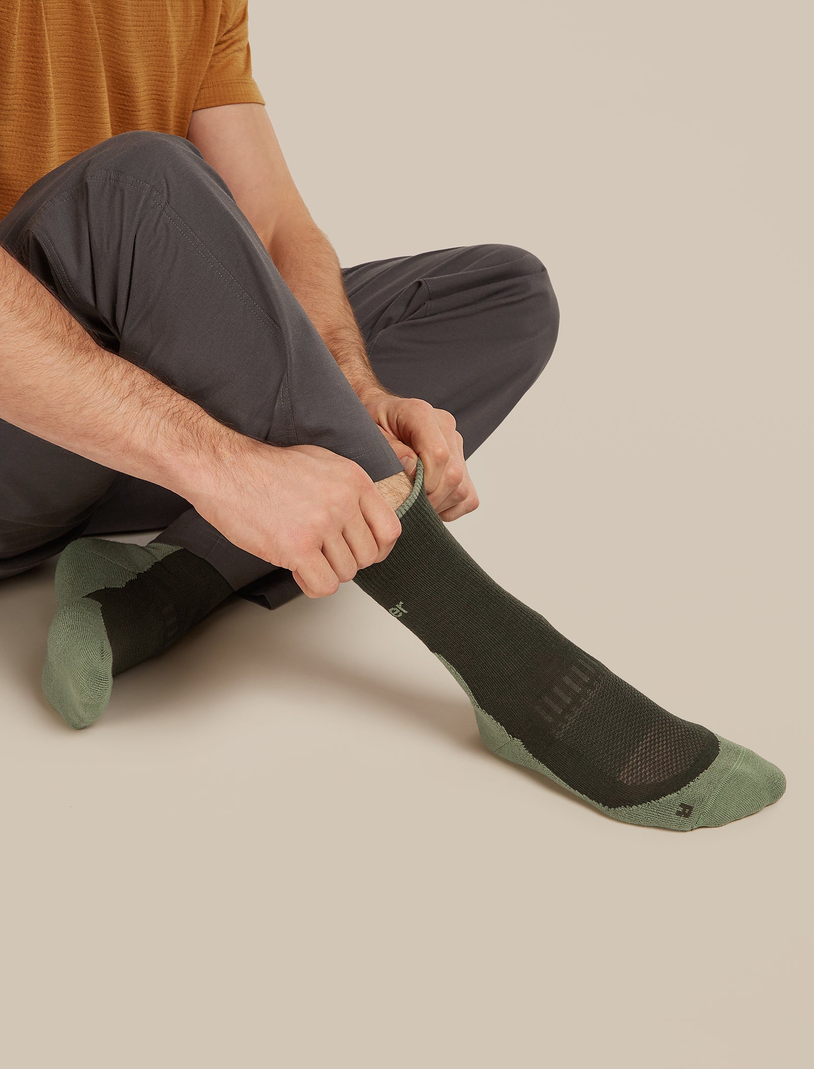 Icebreaker Men's Merino Hike+ Light Crew Socks