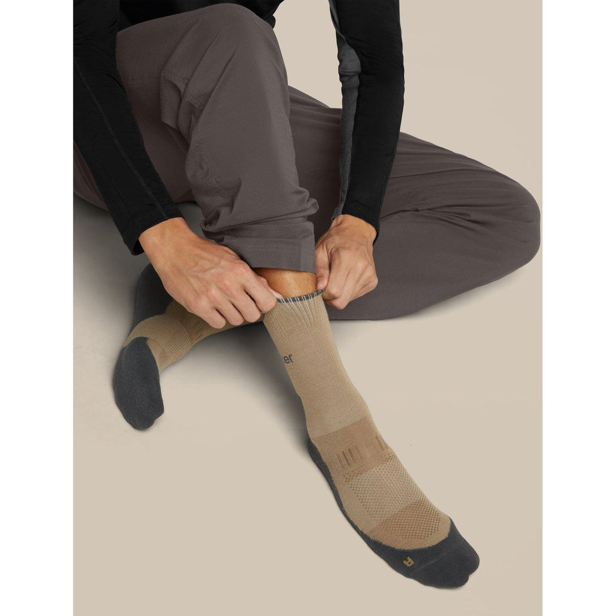 Icebreaker Men's Merino Hike+ Light Crew Socks