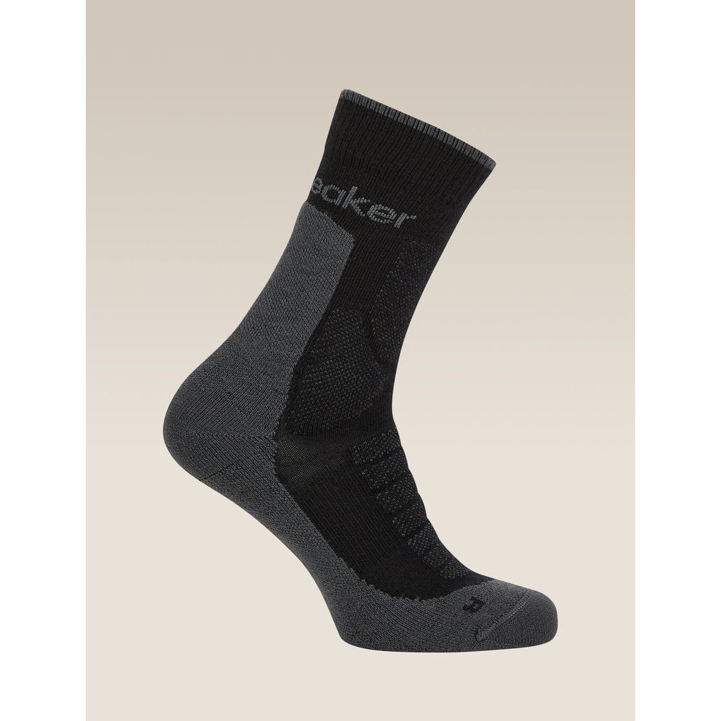 Icebreaker Men's Merino Hike+ Heavy Crew Socks