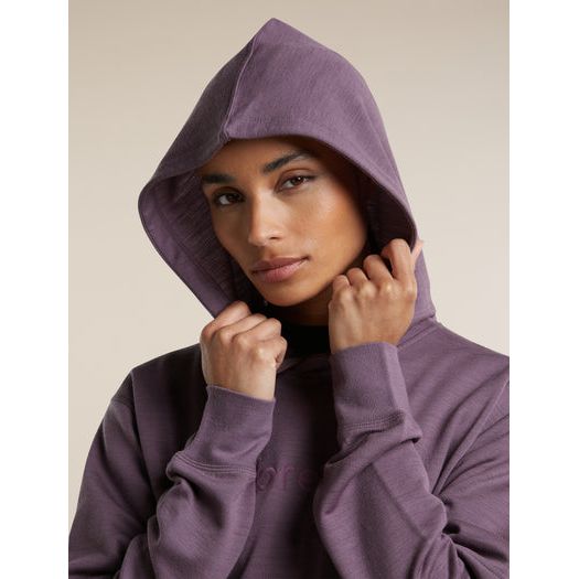 Icebreaker Women's Merino 360 Realfleece Elemental Long Sleeve Hoodie