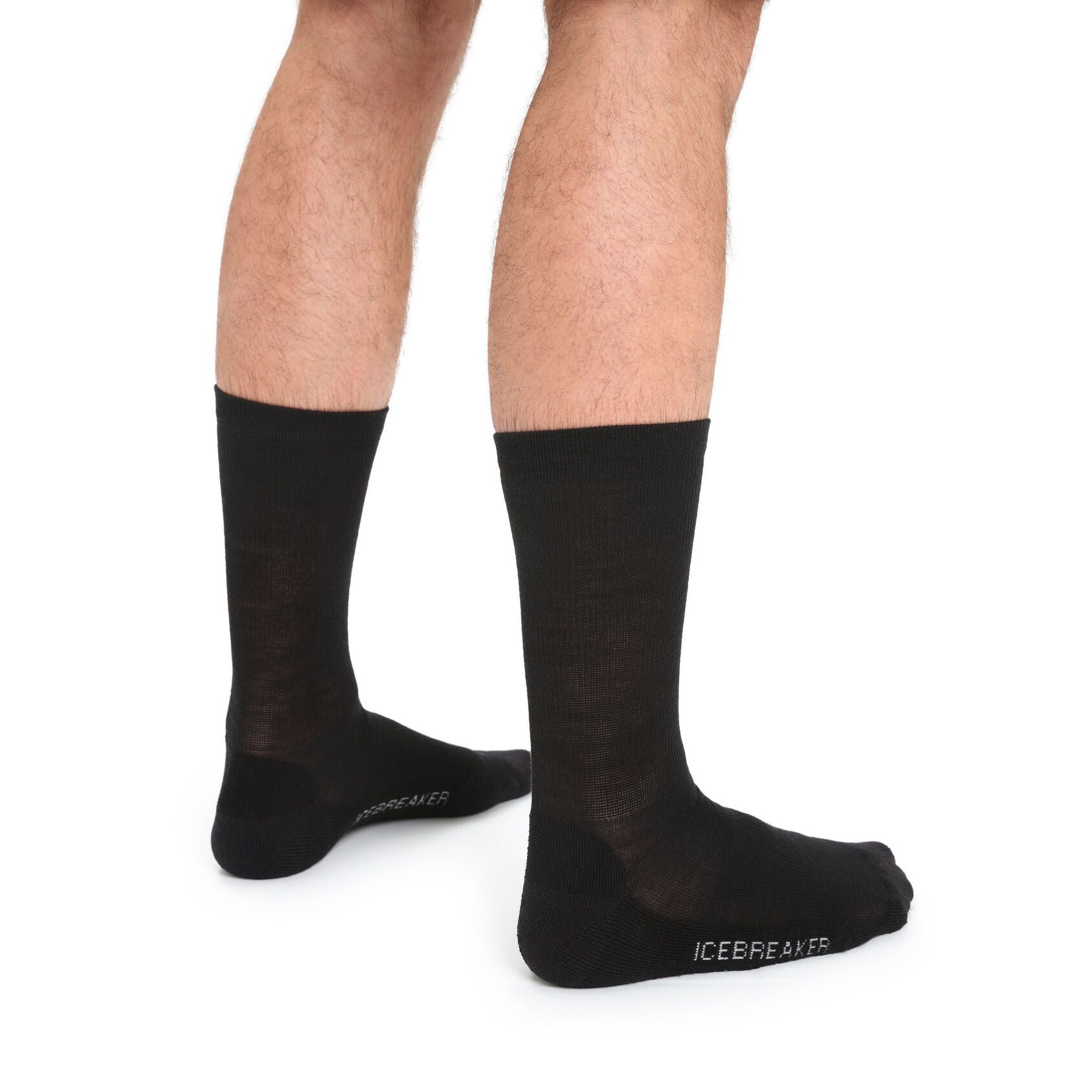 Icebreaker Men's Merino Lifestyle Light Crew Socks
