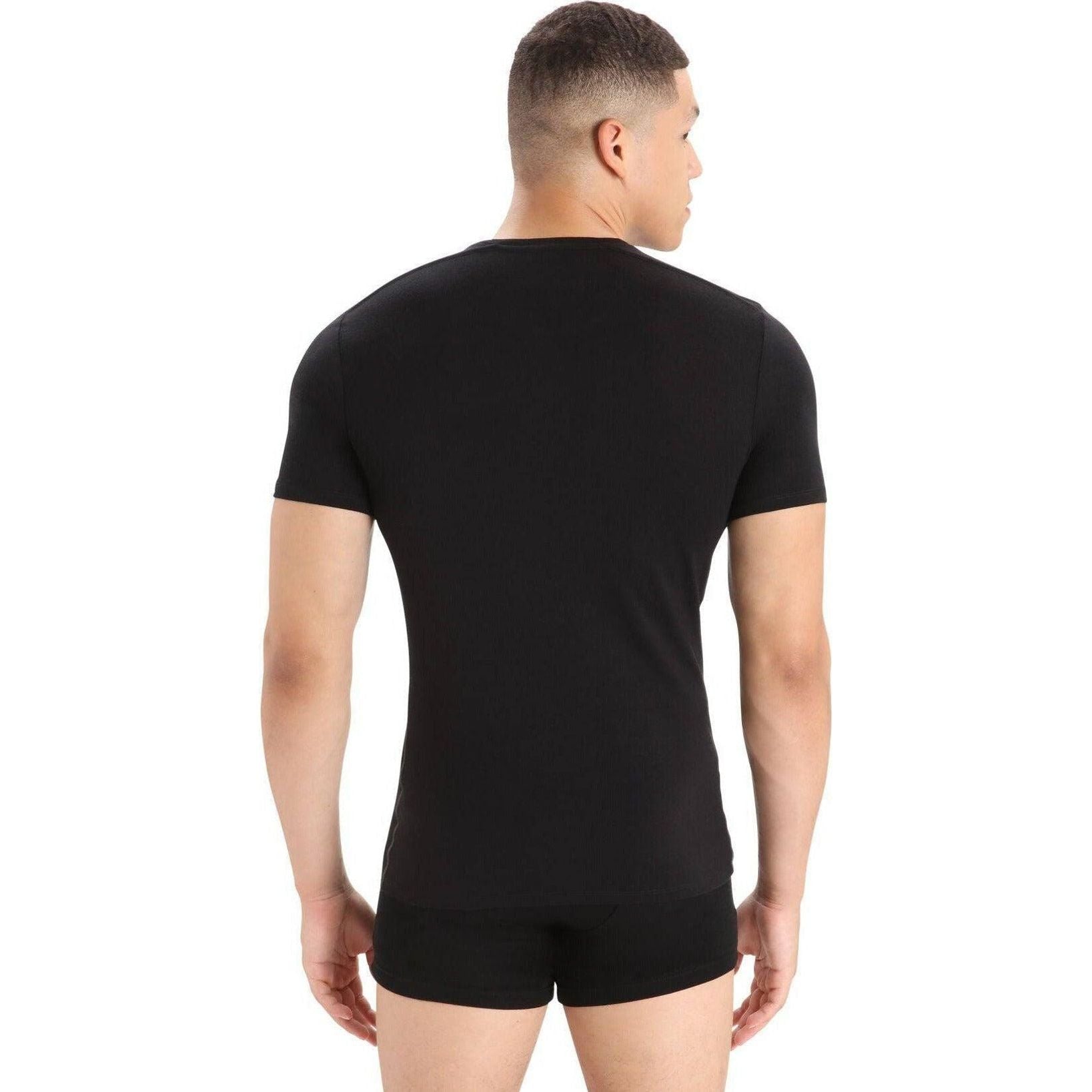 Icebreaker Mens Anatomica SS Crewe Outside Sports