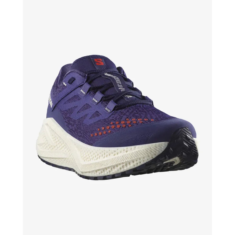 Salomon Men's Aero Glide 3 Grvl