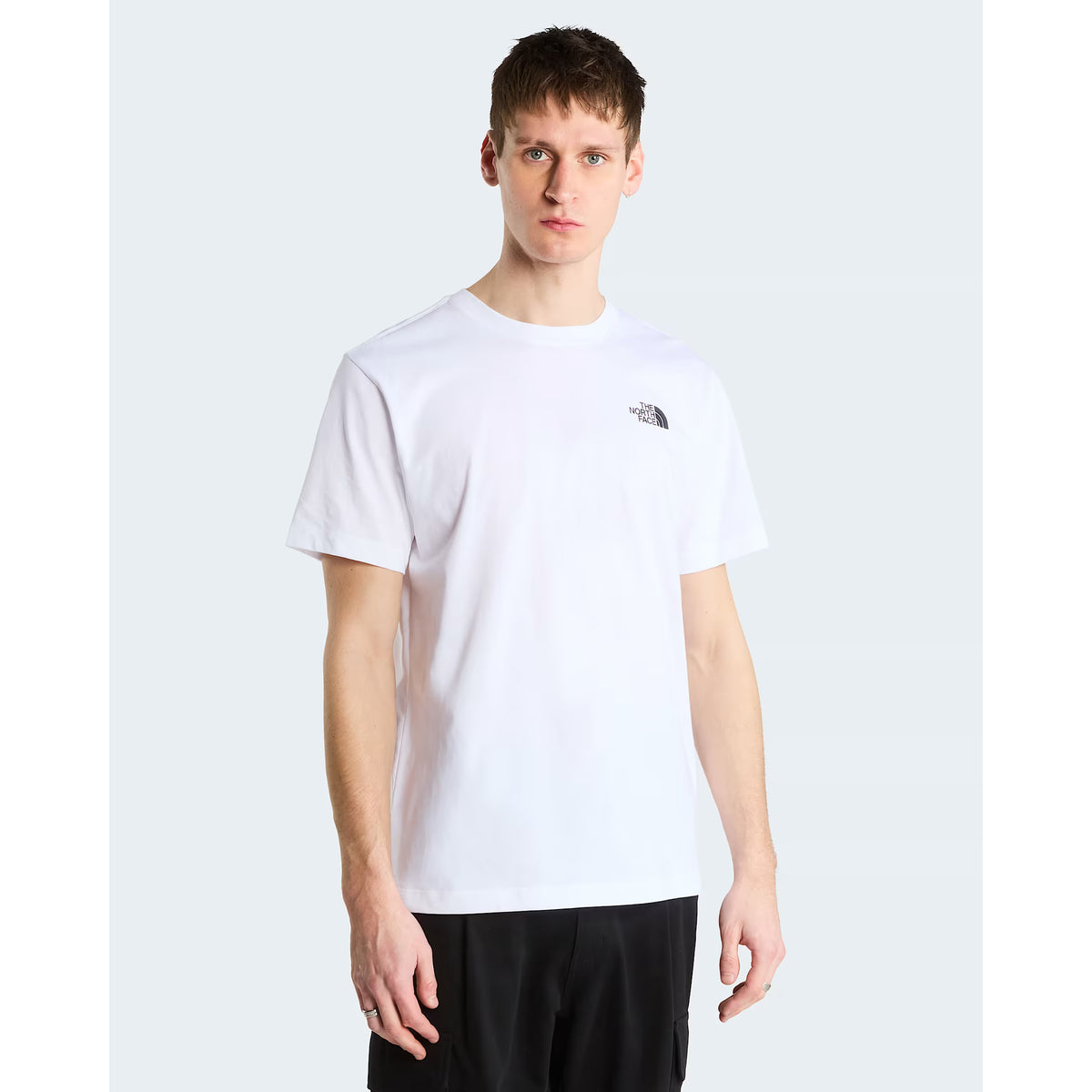 The North Face Men's Mountainscape Regular SS T-Shirt