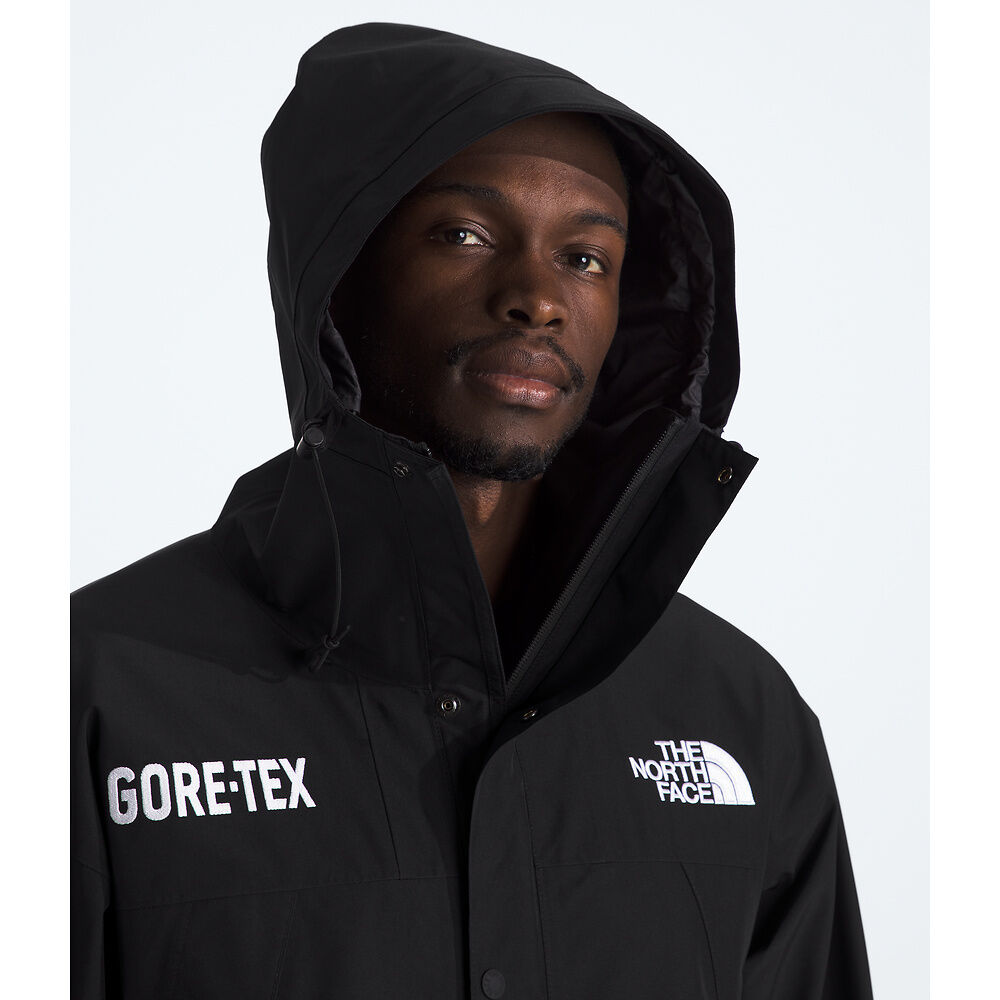 The North Face Men's GTX Mountain Jacket