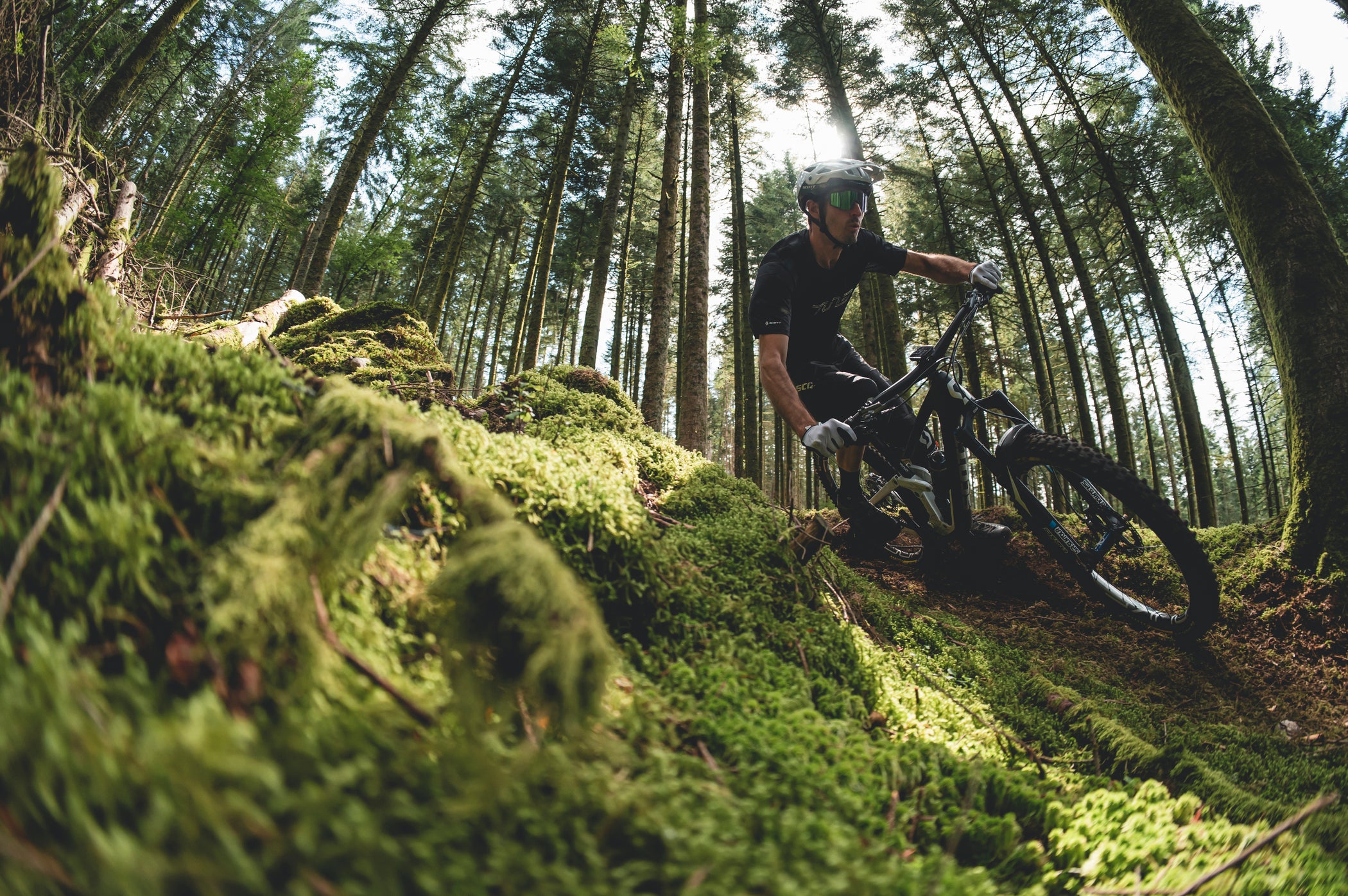 riding a scott contessa mountain bike from a low angle in the moss
