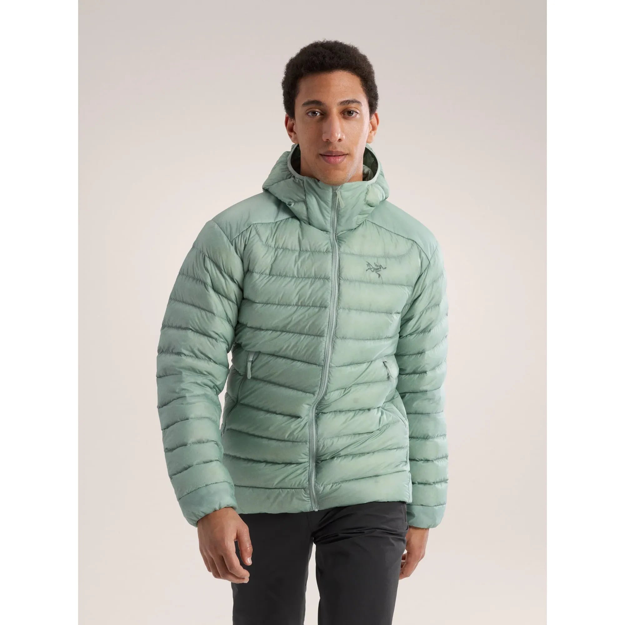 Arc'teryx Men's Cerium Hoody