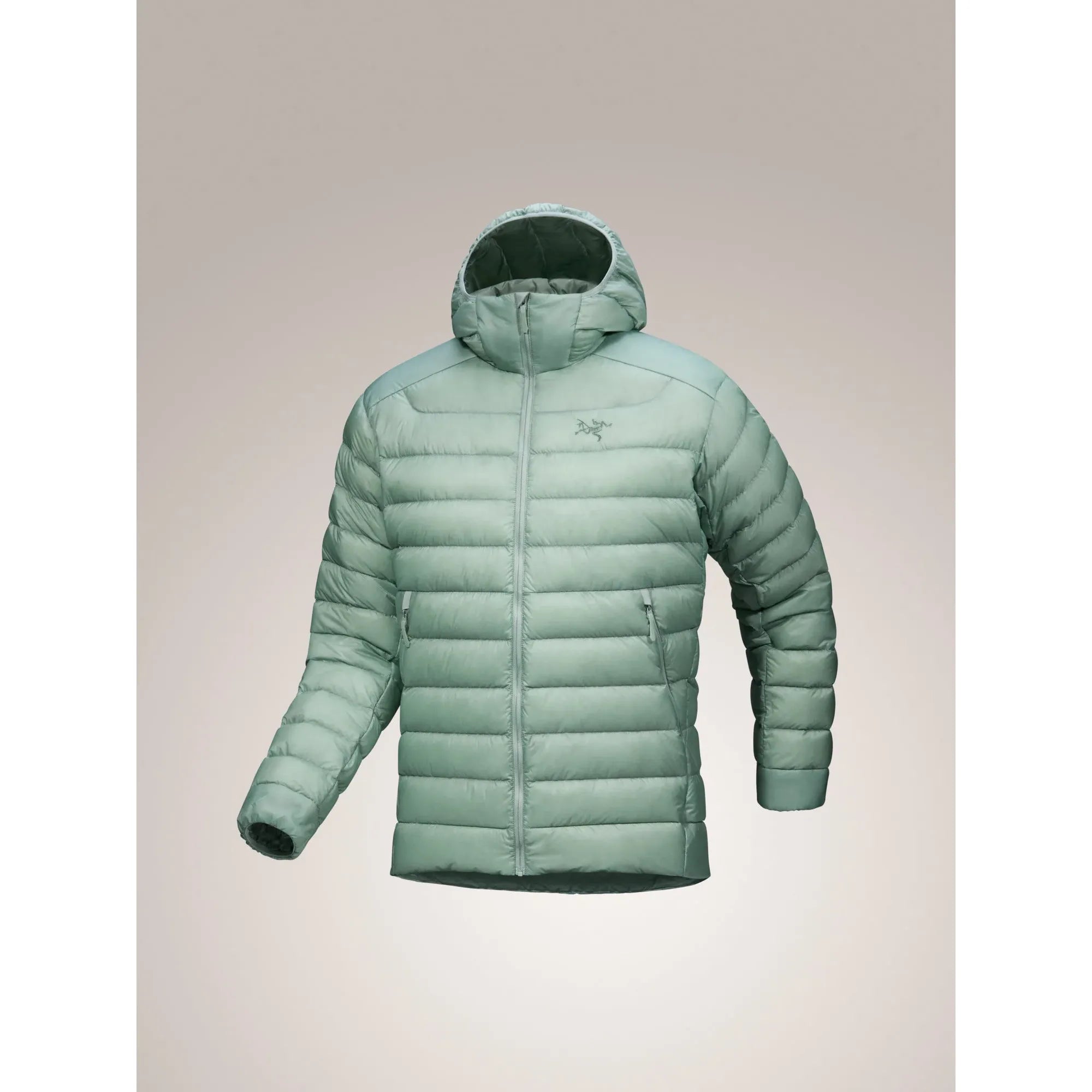 Arc'teryx Men's Cerium Hoody