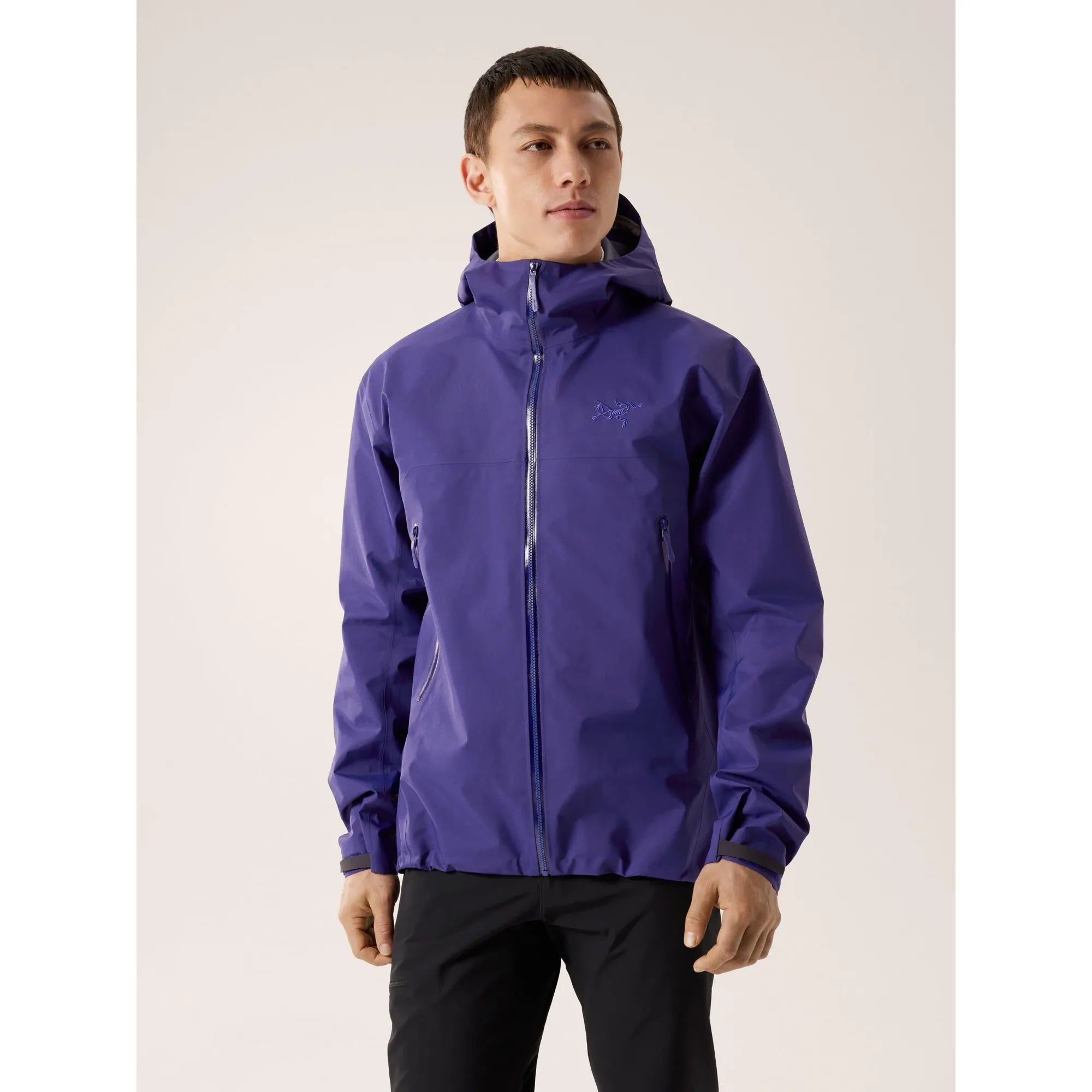 Arc'teryx Men's Beta Jacket