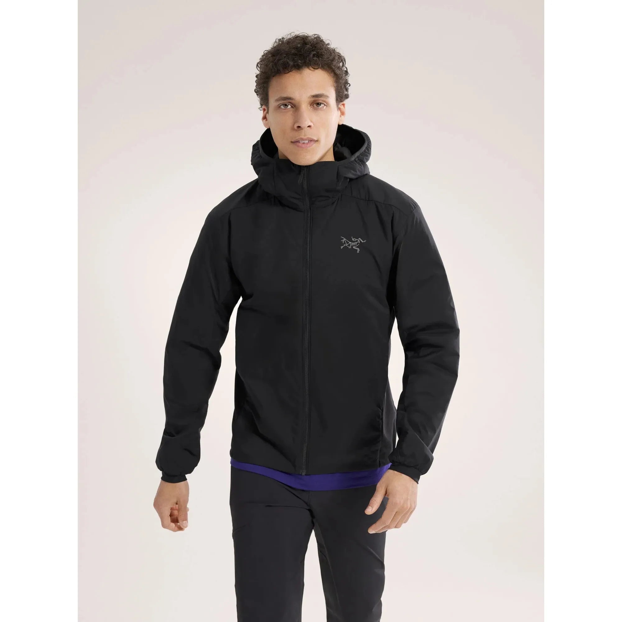 Arc'teryx Men's Atom Hoody