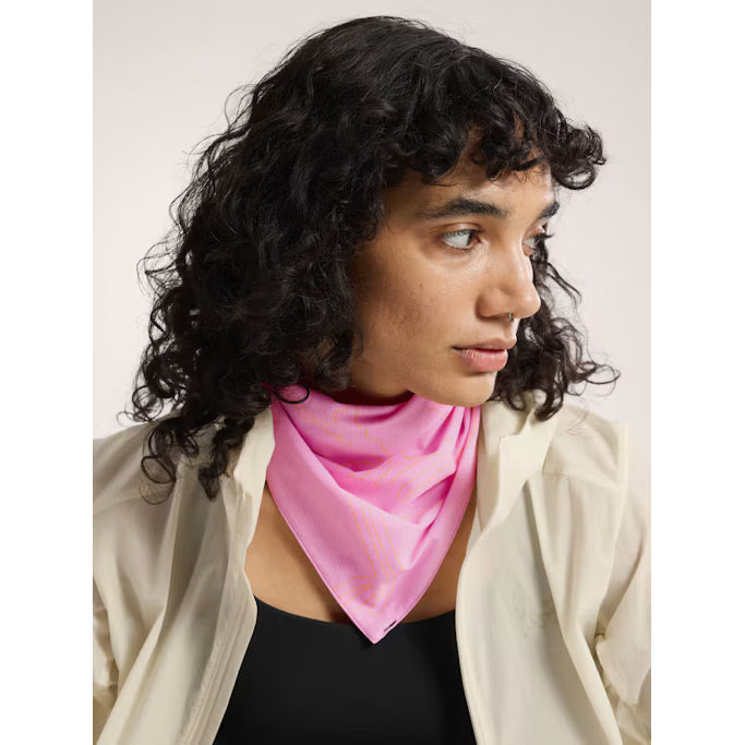 Arc'teryx Sinsolo Bandana