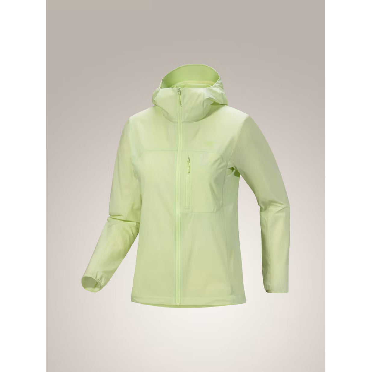 Arc'teryx Women's Squamish Hoody