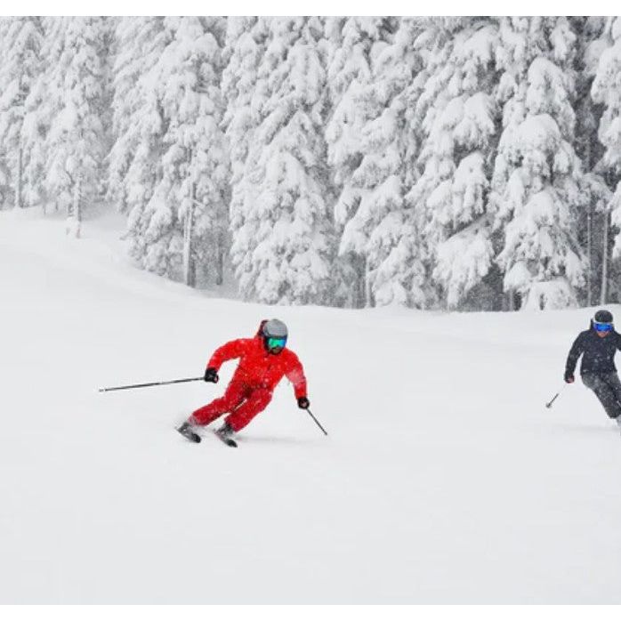 Atomic Live Shield Shorts  Body Protection