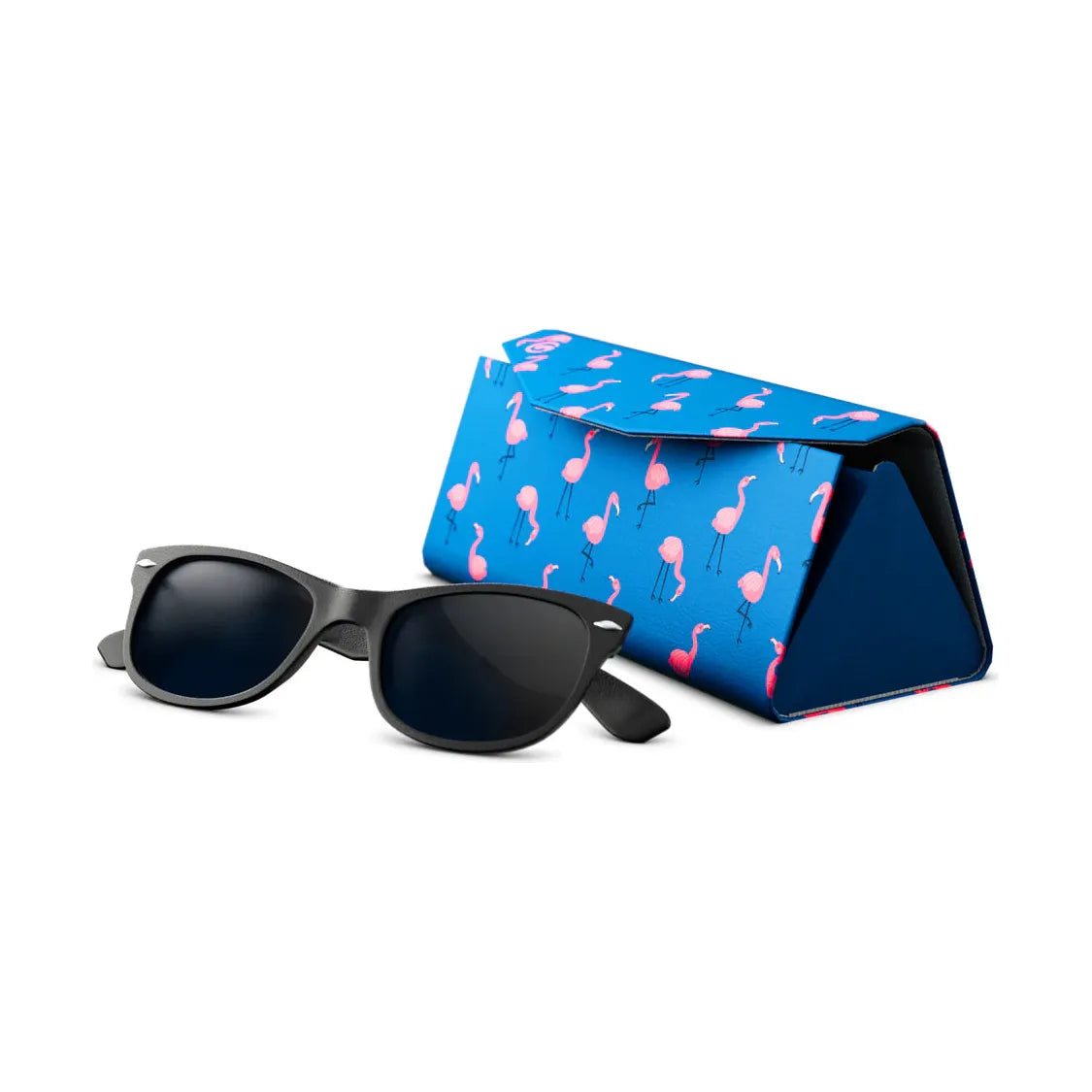 GoggleSoc Sunglasses SunnyCase