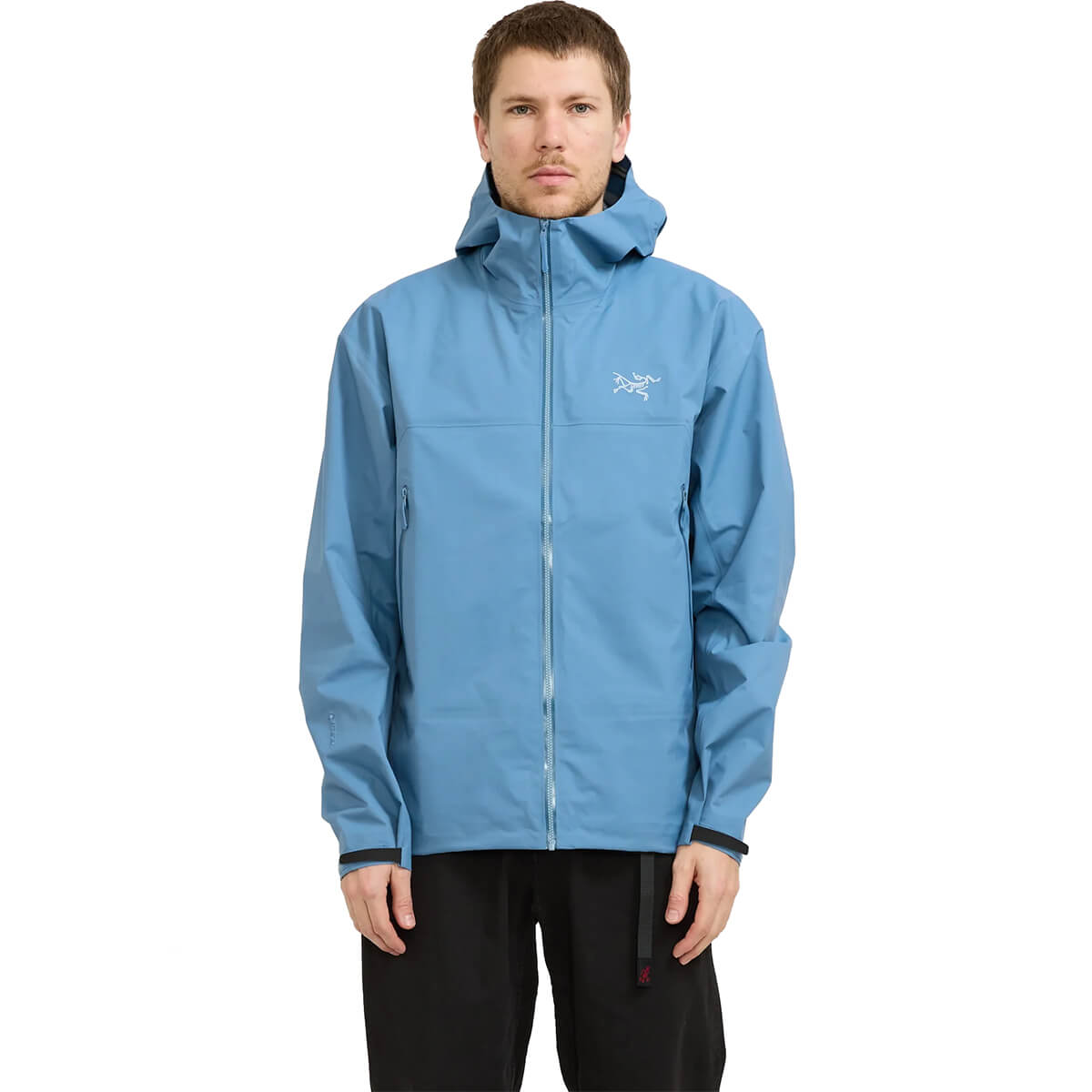 Arc'teryx  Men's Beta AR Jacket