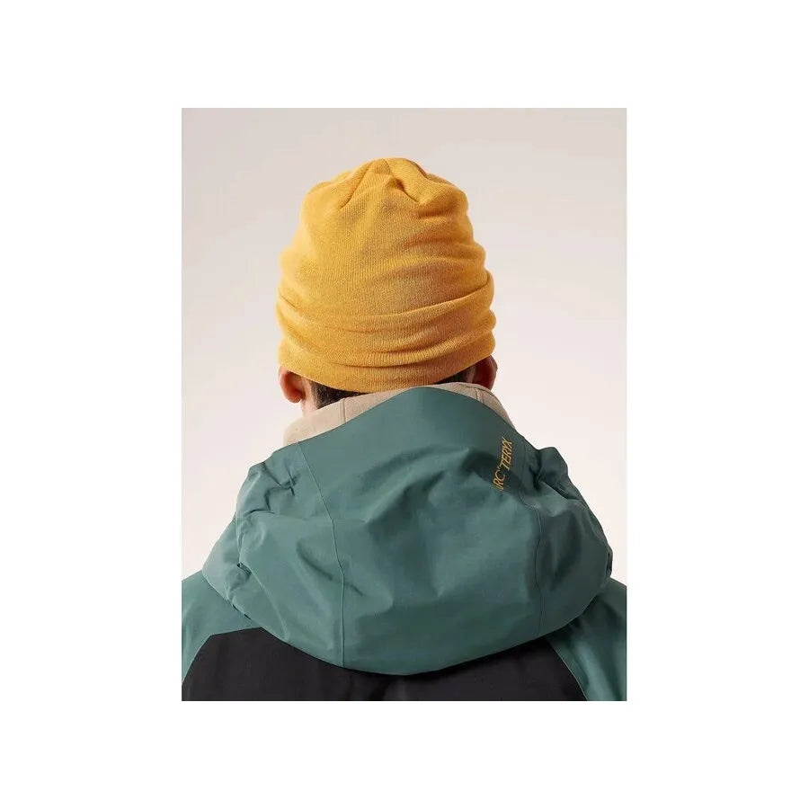 Arc'teryx Bird Word Toque Beanie