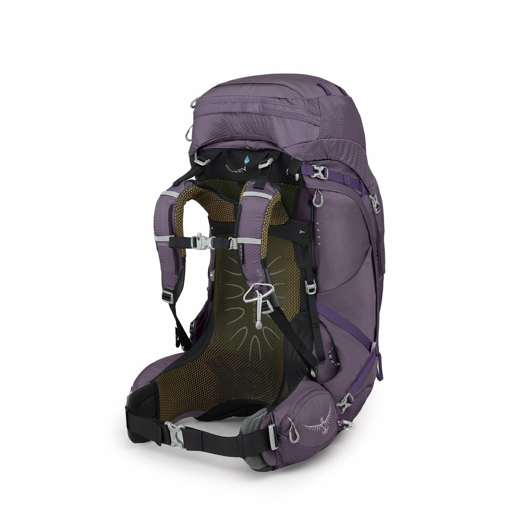 osprey 65l backpack womens Osprey Women's Aura AG 65 Backpack - Enchantment Purple